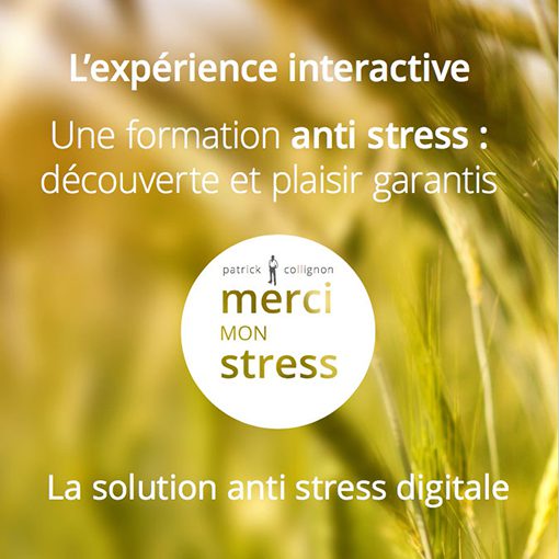 Formation en ligne Merci Mon Stress